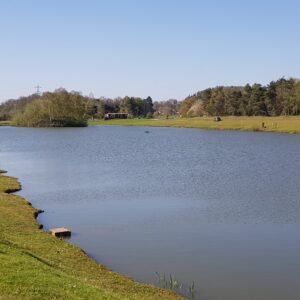 Larford Lakes - Saturday 4th October 2025