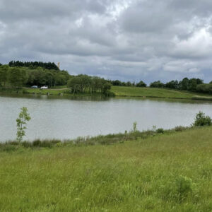 Meadowlands - Saturday 25th October 2025