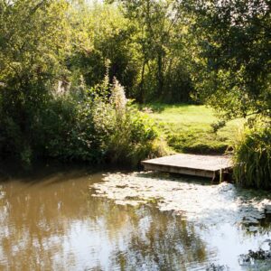 Packington Somers - Saturday 11th October 2025