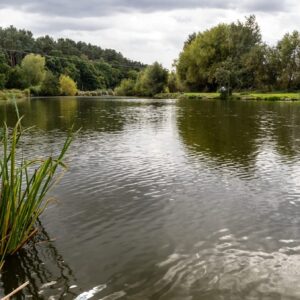 Sherwood Forest - Saturday 7th February 2026