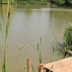 Southend Farm - Saturday 15th November 2025